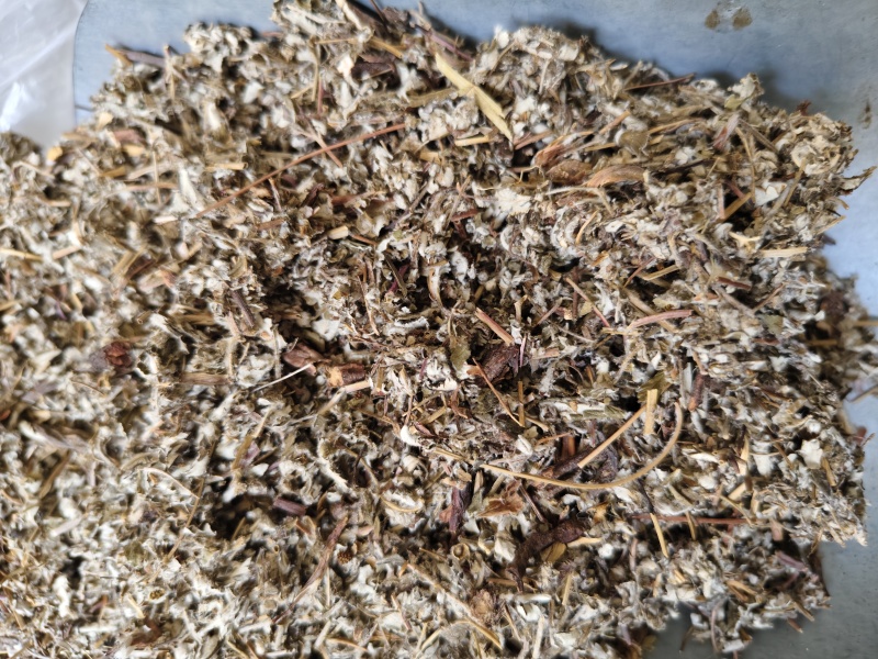 翻白草正品新货翻白草批发零售