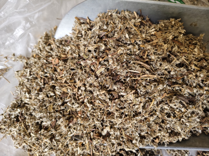 翻白草正品新货翻白草批发零售