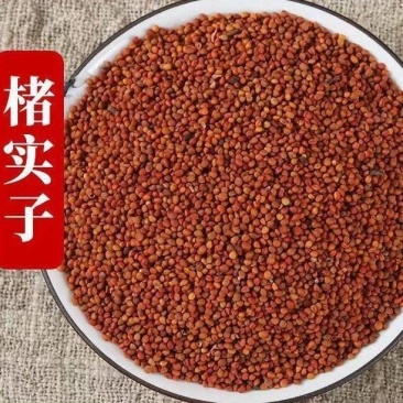 楮实子精选新货楮实子批发零售量大优惠