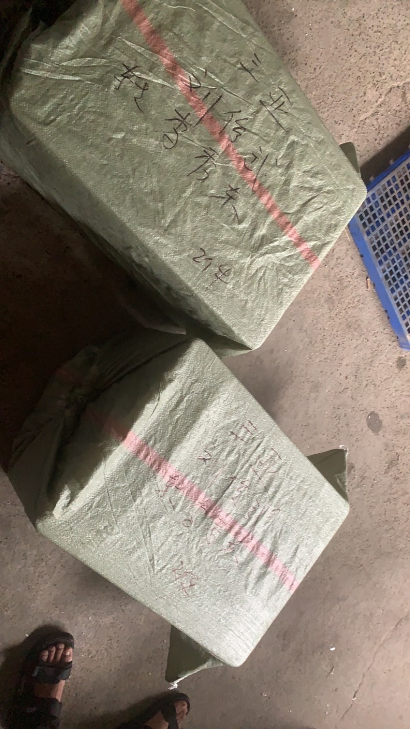 北方大闸有黄.生产环境优.