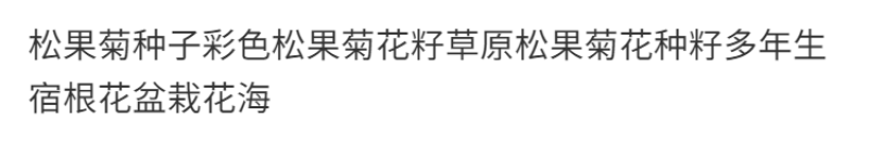 松果菊种子厂家批发