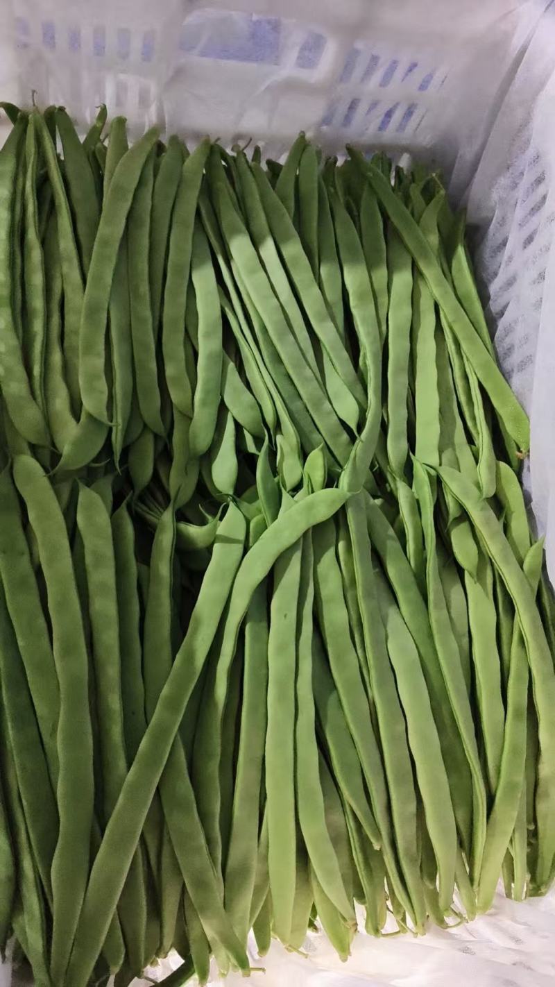 豆角大量上市，价格美丽，欢迎各界老板前来砸单！