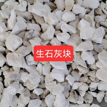 显明矿业公司
