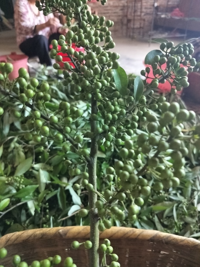 木姜子