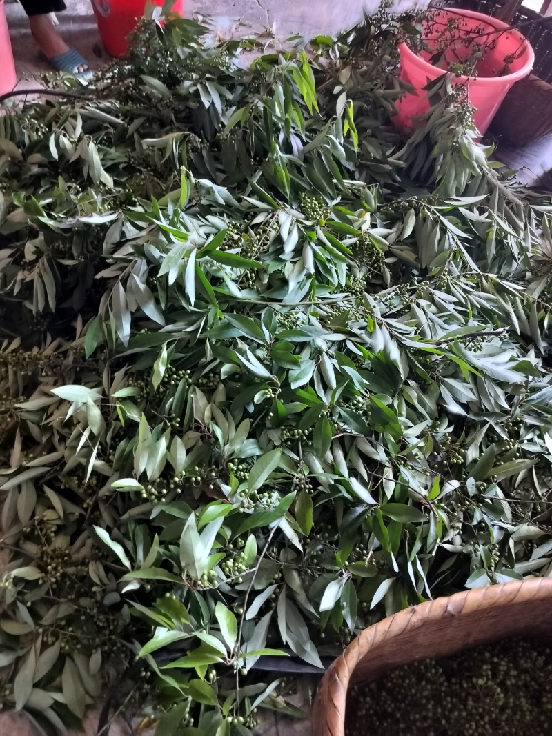 木姜子