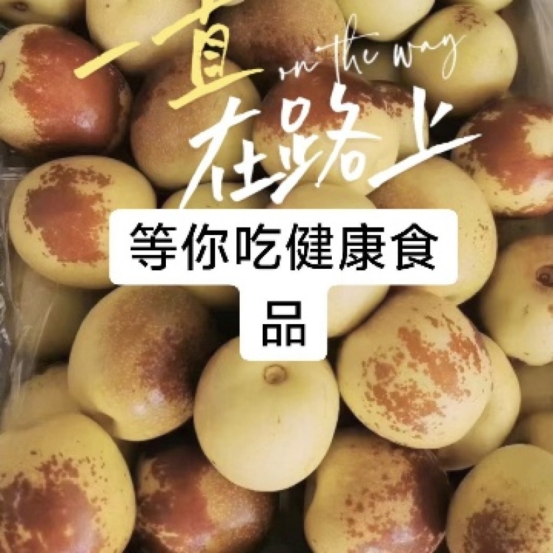 无公害大棚冬枣