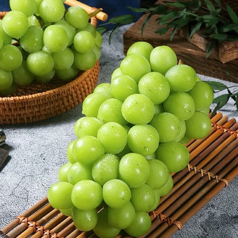 {阳光玫瑰}河北辛集葡萄/阳光玫瑰葡萄/乃运输甜度高