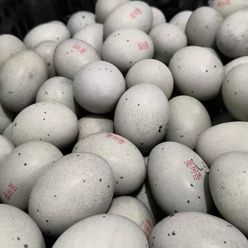 松花蛋河南厂家直发保质保量供货价钱实惠