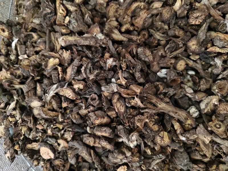 白头翁甘肃东北白头翁规格齐全批发零售