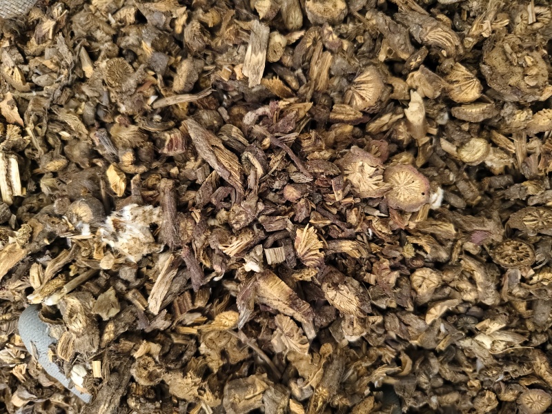 白头翁甘肃东北白头翁规格齐全批发零售