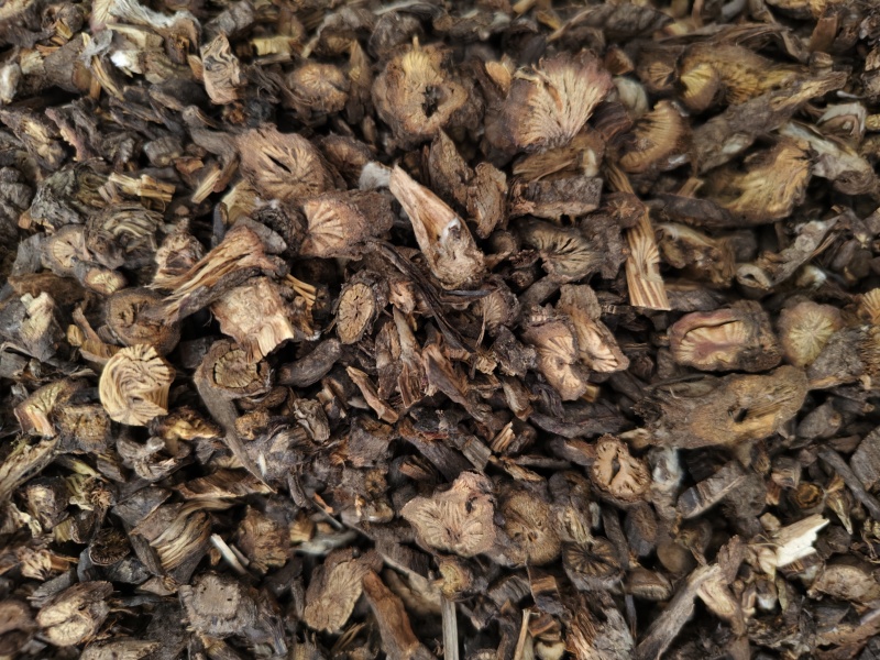 白头翁甘肃东北白头翁规格齐全批发零售