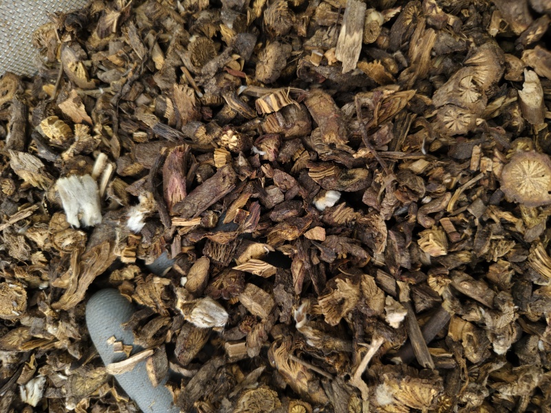 白头翁甘肃东北白头翁规格齐全批发零售