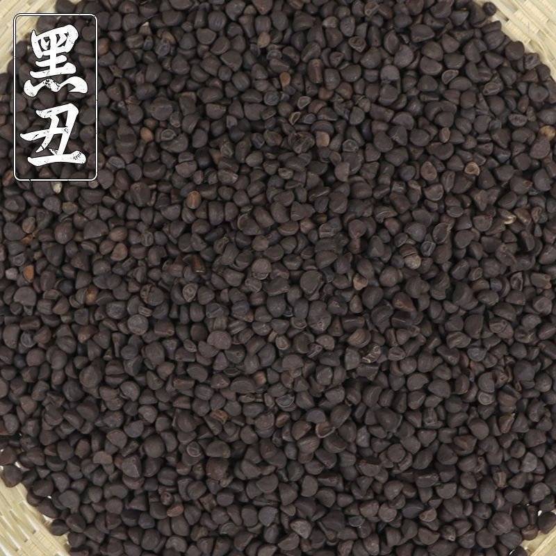黑丑精选黑丑颗粒饱满批发零售量大从优
