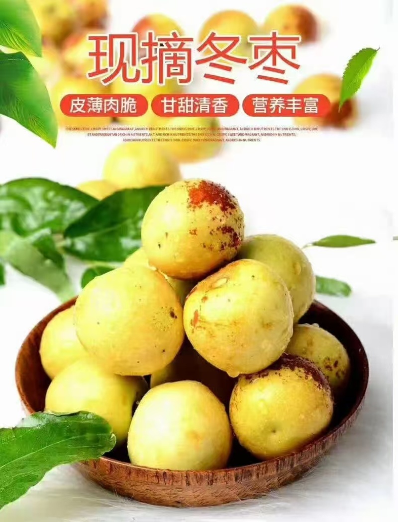 推荐陕西鲜枣大荔冬枣货源充足甜脆爽口价格实惠欢迎联