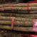 【三门峡铁棍山药冷库直发，新鲜产地直供，口感好，货源充足