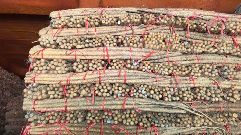 【三门峡铁棍山药冷库直发，新鲜产地直供，口感好，货源充足