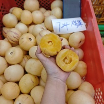 树熟人参果（一件代发）带箱5斤12