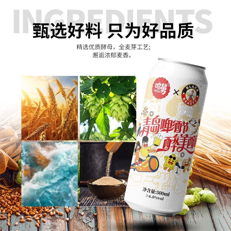 14度白啤酒500ml*12/24罐精酿小麦啤酒整箱批青岛哈