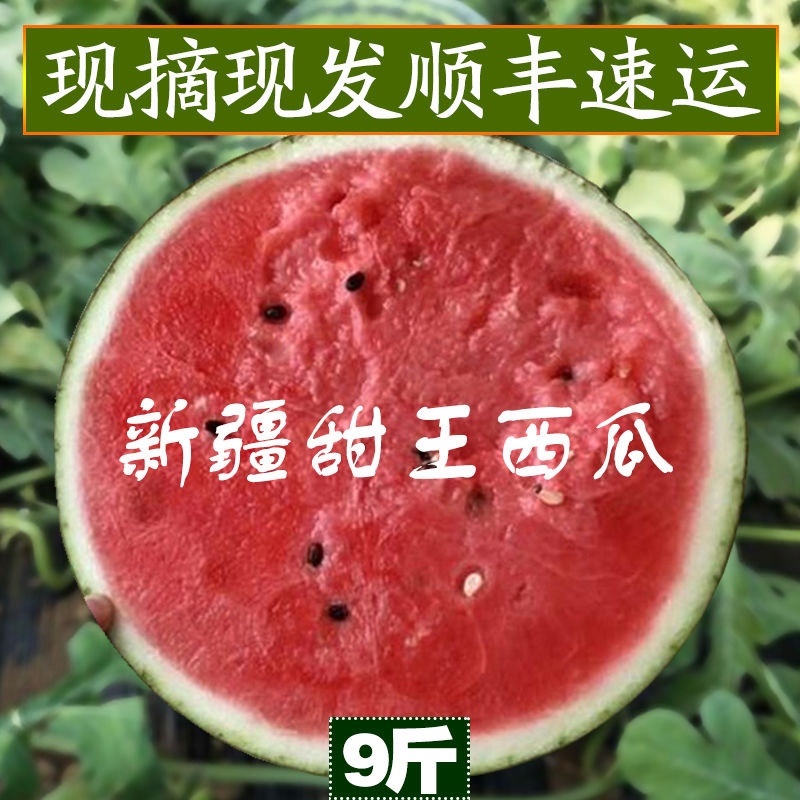 新疆甜王西瓜，产区现货，大量有货
