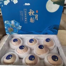 秋月梨、丰水梨、皮薄无渣、脆甜可口、一件代发对接各大电商