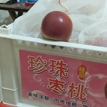珍珠枣油桃