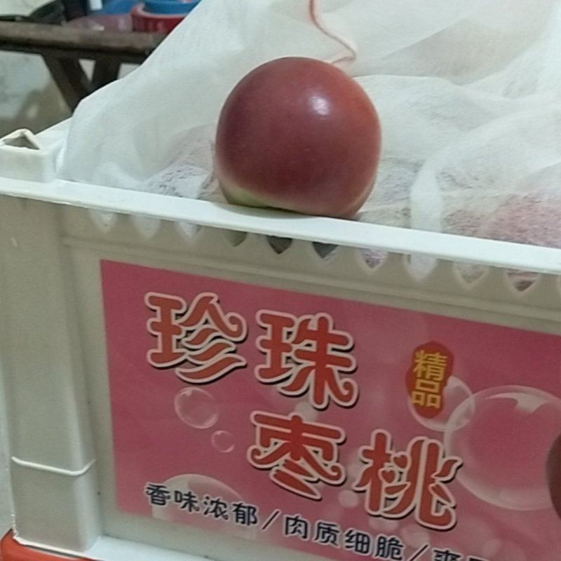 珍珠枣油桃