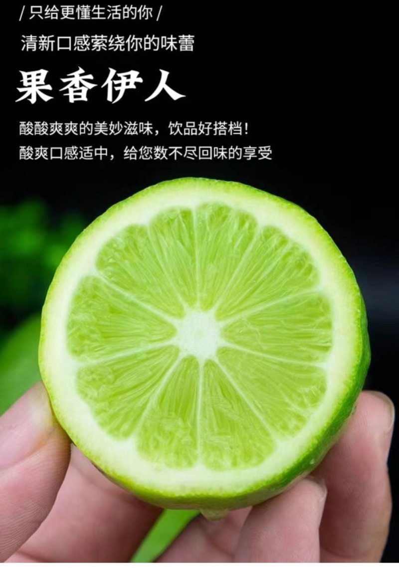 广东正宗新鲜爆香型无籽香水柠檬一级大果（果园直供）