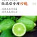 广东正宗新鲜爆香型无籽香水柠檬一级大果（果园直供）