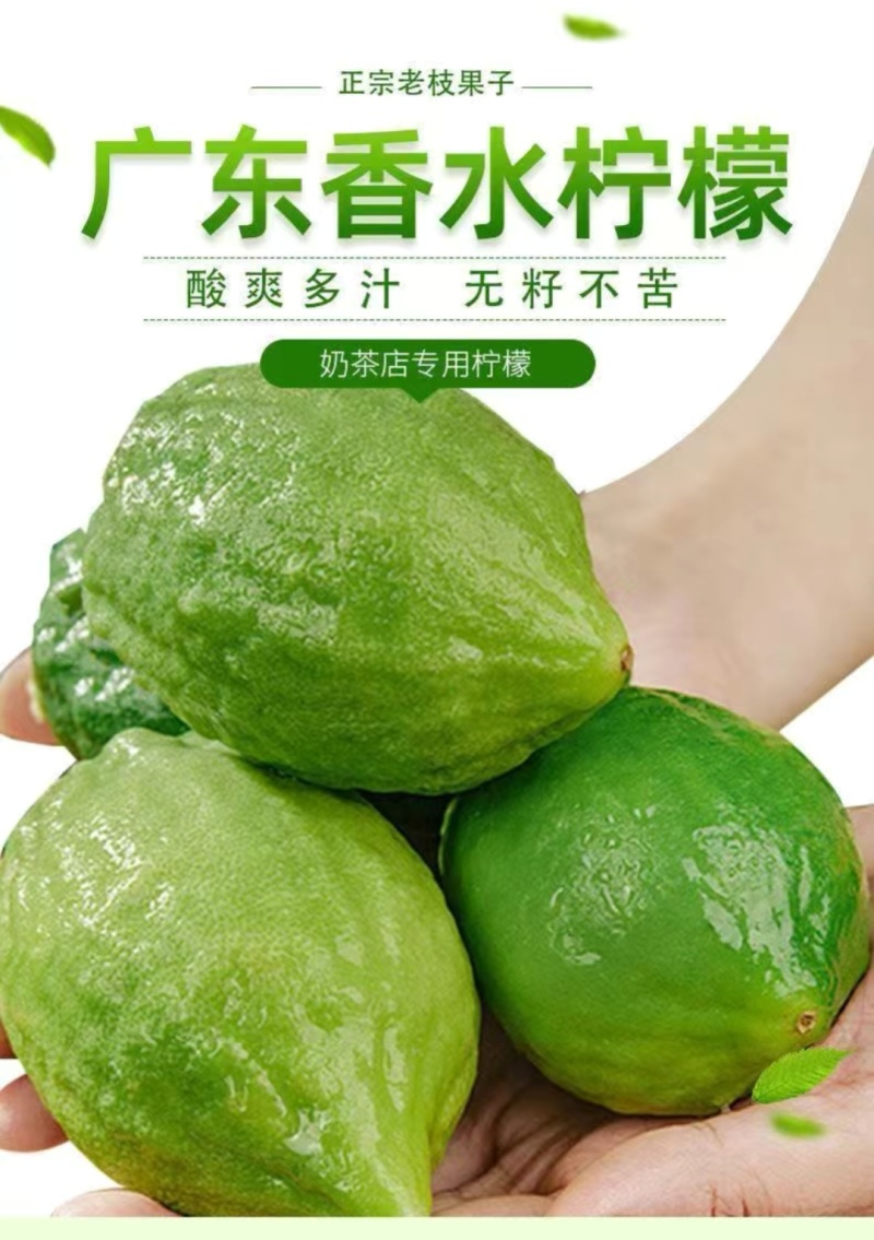广东正宗新鲜爆香型无籽香水柠檬一级大果（果园直供）