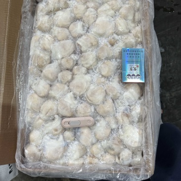 墨鱼嘴墨鱼碎肉2000克以上墨鱼杀出