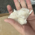 墨鱼嘴墨鱼碎肉2000克以上墨鱼杀出