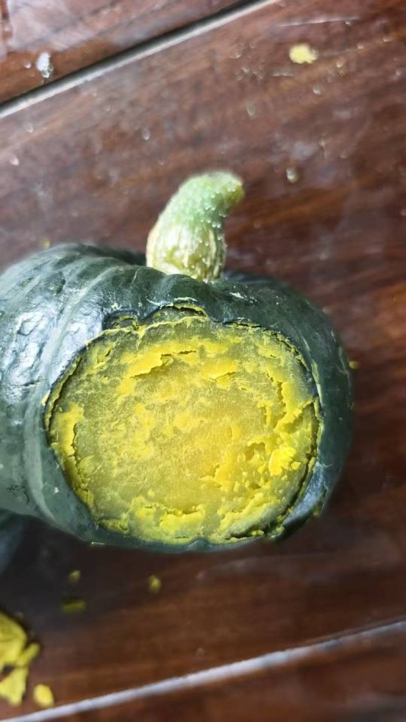 宁夏，内蒙贝贝南瓜