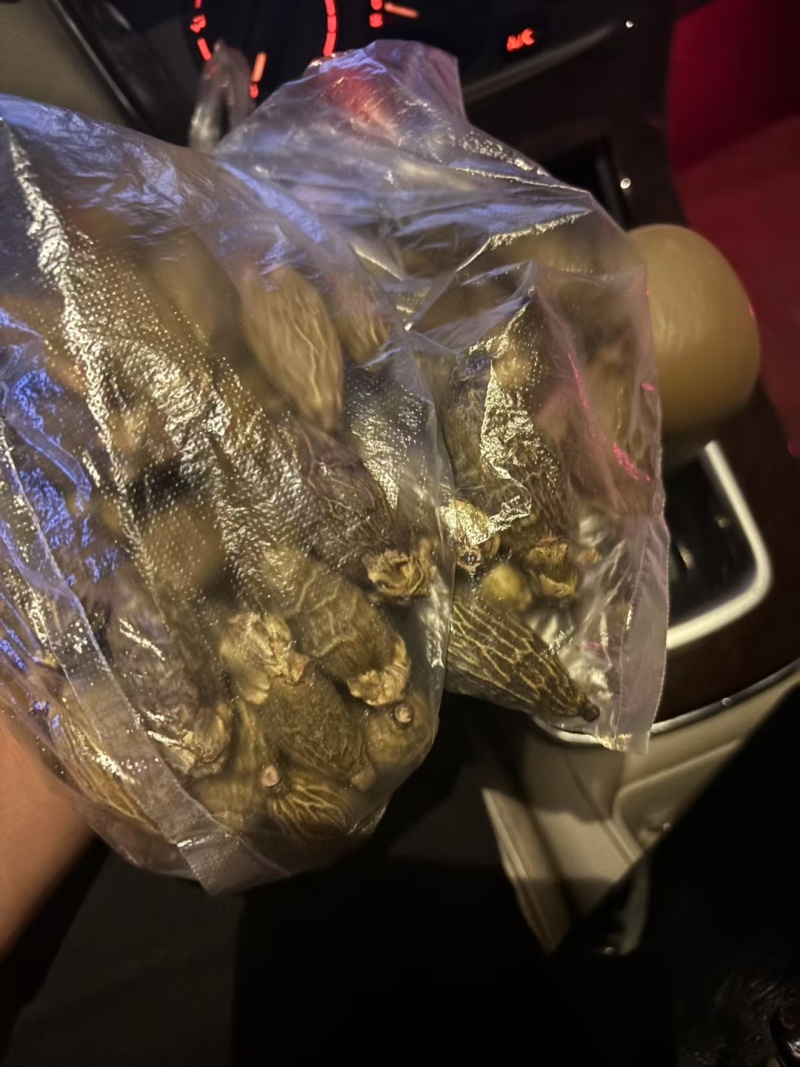 食品级槟榔