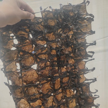 蟾蜍皮，单层，够薄，不含其他杂质，有现货