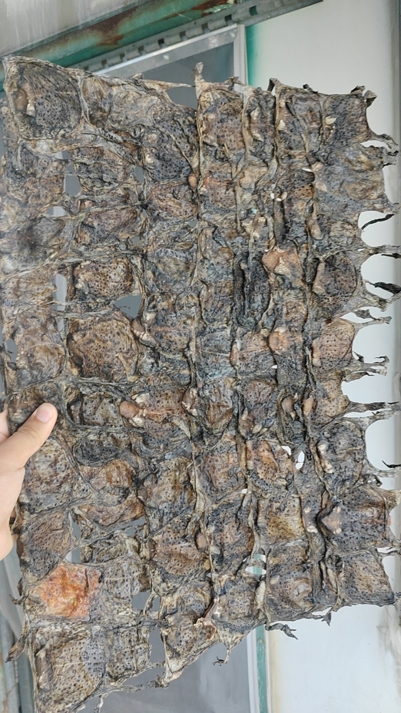 蟾蜍皮，单层，够薄，不含其他杂质，有现货