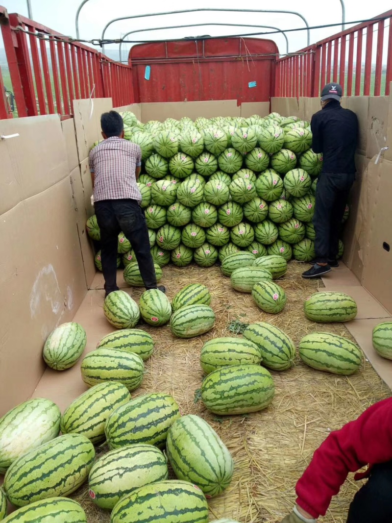 【推荐】宁夏西瓜硒砂瓜西瓜代办包熟包甜耐运输量大从优