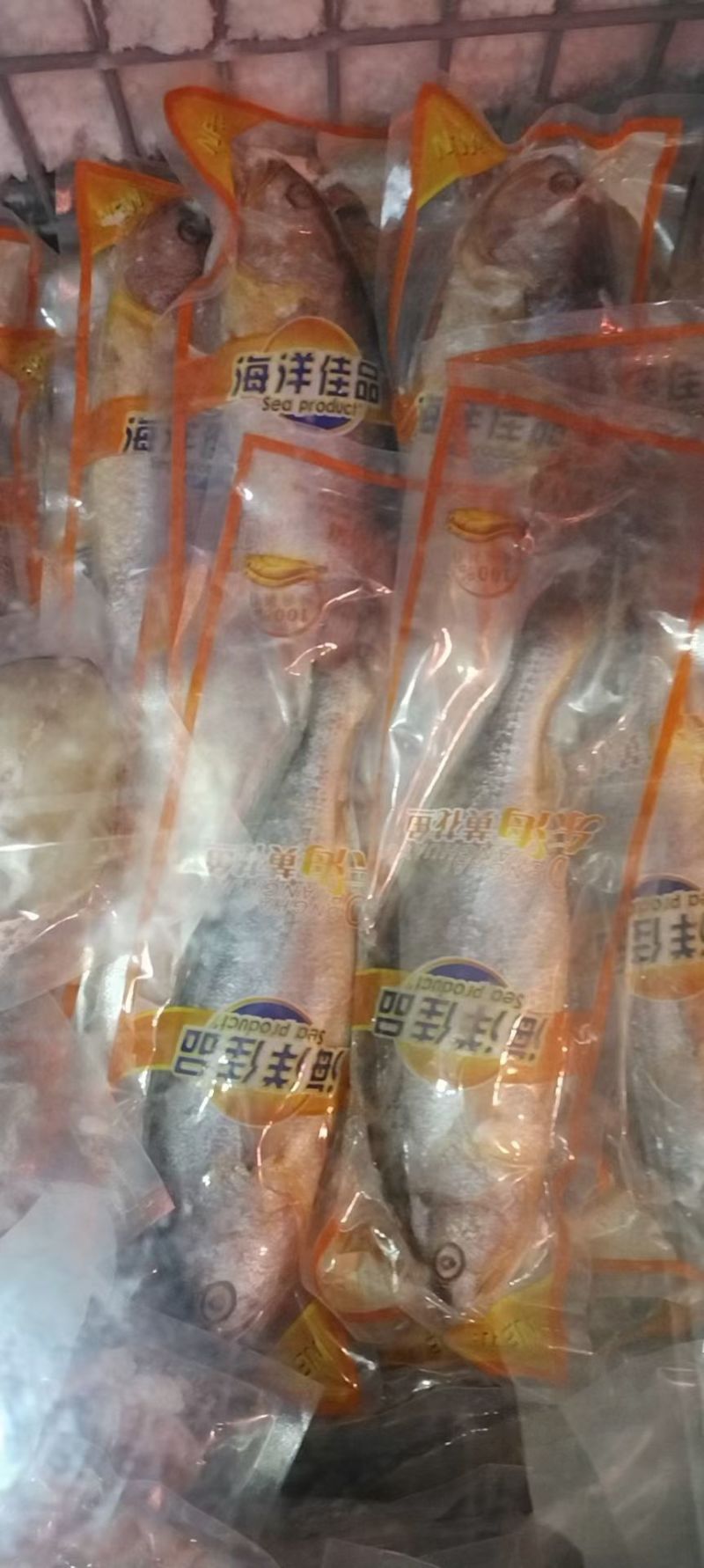 条冻黄鱼5两到6两