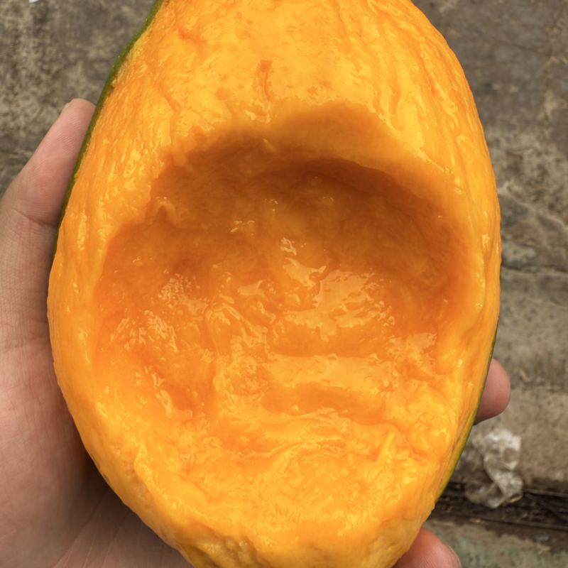 凯特芒通货