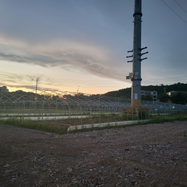 【精品农业基地出租】31亩全配套果蔬大棚·交通便利·即租