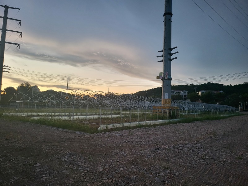 【精品农业基地出租】31亩全配套果蔬大棚·交通便利·即租