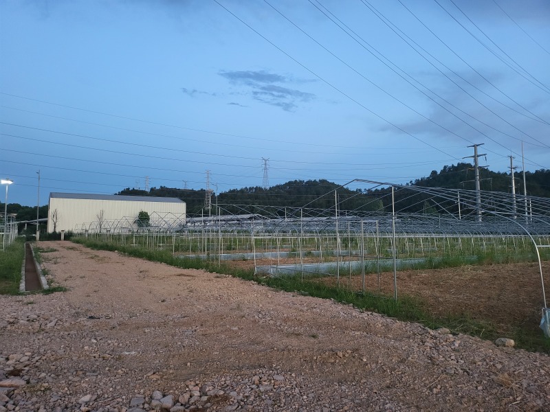 【精品农业基地出租】31亩全配套果蔬大棚·交通便利·即租