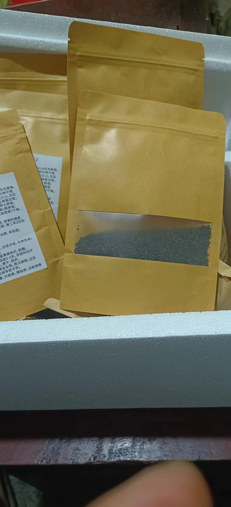 车前子冲茶喝品质保证诚信经营