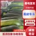 现货现发，支持全国发货，欢迎各地老板前来咨询，诚信经营