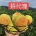 正宗建宁双溪锦绣黄桃现摘现发假一赔十一件代发