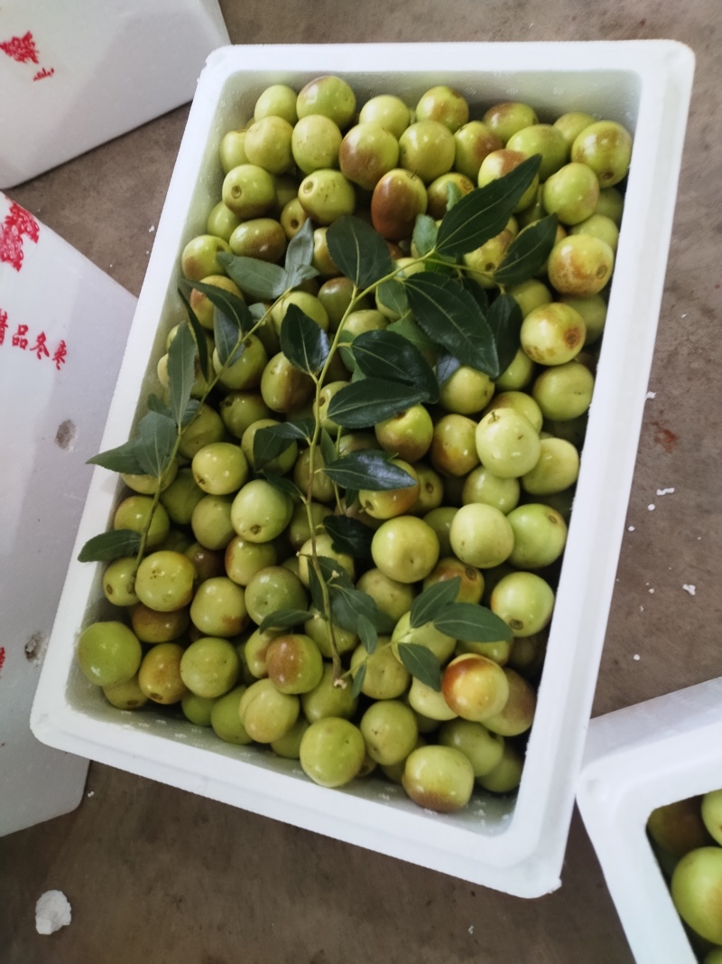 本地冬枣光照充足，口感甜脆，货发全国。
