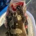 珍珠龙胆石斑鱼1-5，珍珠龙胆石斑鱼1-5，珍珠龙胆活鱼