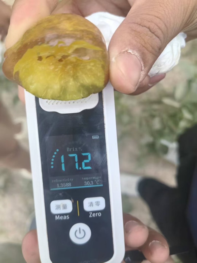新疆法兰西西梅