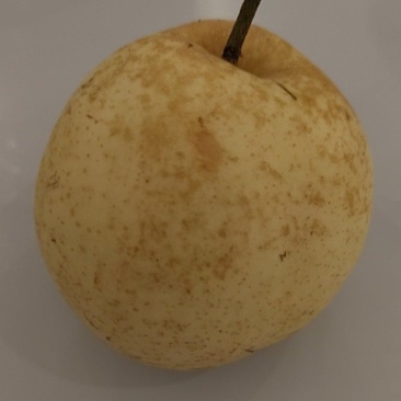 翠冠梨
