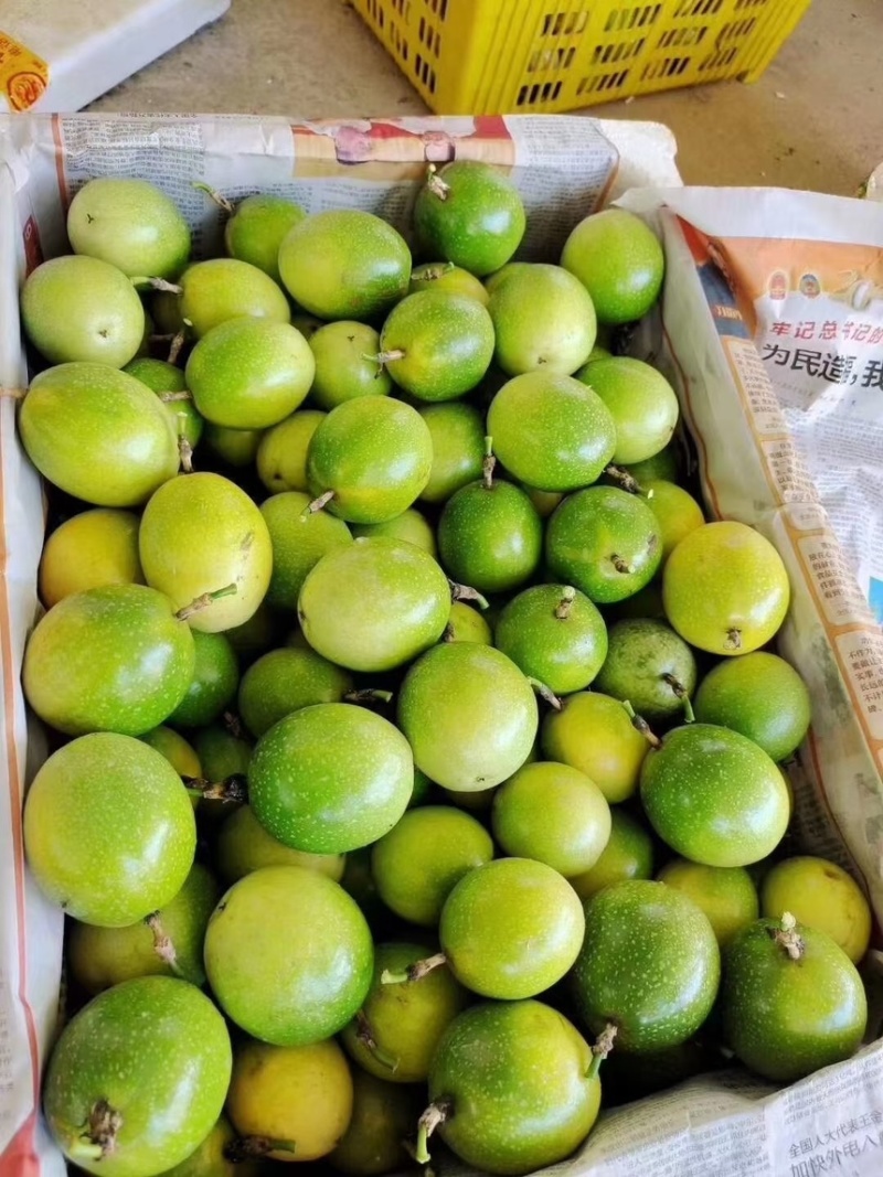 钦蜜9号黄金百香果，电商果，市场果量大从优。