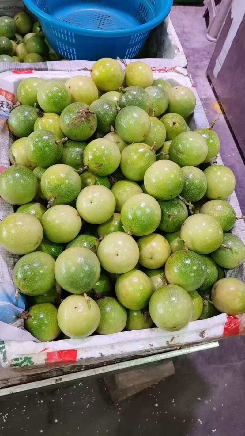 钦蜜9号黄金百香果，电商果，市场果量大从优。